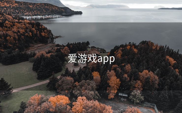 爱游戏app